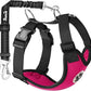 SlowTon Dog Seat Belt Harness for Car, Dog Car Harness Adjustable Mesh Breathable & Dog Seatbelt Safety Tether with Elastic Bungee for Small Medium Large Pets(Fuchsia, Double Clip, M)