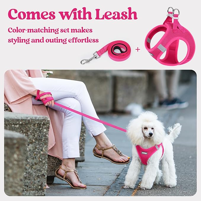rabbitgoo Dog Harness Small Sized and Leash Set, Step in Soft Light Puppy Vest, Breathable Mesh Pet Harness, Reflective for Safe Easy Walking, Rose Red XS