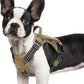 rabbitgoo Dog Harness Small Sized No Pull, Tactical Service Pet Vest with Molle and Control Handle, Adjustable and Reflective Military Harness for Easy Walking and Training, Brown camo, S