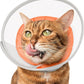 Cat Cone Collar Soft: Comfortable Waterproof Mesh Recovery Cone After Surgery to Stop Licking and Scratch, Alternative to Plastic Elizabeth Head/Neck Cone