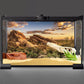 AWERT Reptile Habitat Background Blue Sky Oasis Cactus Sun and Desert Terrarium Background 24x12 inches Durable Polyester Background