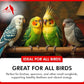 Morning Bird Calcium Plus Powder for Birds 6 oz – Calcium Carbonate Powder with Magnesium Glycinate & Vitamin D – Bone Strength & Immune Support Supplement – Calcium Formula for All Bird Sizes