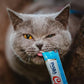 INABA Churu Cat Treats, Grain-Free, Lickable, Squeezable Creamy Purée Cat Treat/Topper with Vitamin E & Taurine, 0.5 Ounces Each Tube, 72 Tubes (4 per Pack), 9 Flavor Variety