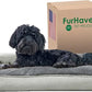 Furhaven Pillow Dog Bed for Medium/Small Dogs w/ Removable Bolsters & Washable Cover - Plush & Suede Sofa - Gray, Medium