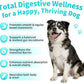 Probiotics for Dogs, Digestive Enzymes for Gut Health Support, Dog Fiber Supplement with Pumpkin for Diarrhea & Bowel Support, Upset Stomach & Gas Relief, Constipation - 60 Count Chicken Flavor