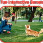 JKW Squeaky Dog Toy for Small & Medium Dogs, Puppy Plush Toys (S, Lobster)