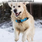 Airtag Dog Collar - 100% Waterproof Air tag Dog Collar Holder for Apple AirTag, Reflective, Soft Padded, Everlasting, GPS Dog Collar for Small Medium Large Dogs (Blue, S)