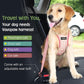 Dog Seat Belt, Safety Vest Dog Car Harness with Adjustable Buckle Dog Seat Belt for Vehicle Nylon Pet Safety Seat Belts Heavy Duty(XL, Pink Daisy)