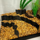 REEFSHAPE Aquarium or Terrarium Substrate Cliffs Combo Pack | Separate Substrate Layers in Aquariums or Terrariums to Create Cliffs & Depth | Made in USA (Cliff Combo, Black)