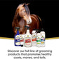 Absorbine ShowSheen Hair Polish & Detangler 32oz Spray Bottle, Horse and Dog Coat, Mane and Tail, Instant Detangling & Reduces Hair Breakage for Healthy Grooming & Radiant Shine