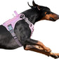 BUMBIN Tactical Dog Harness for Large Dogs No Pull, Famous TIK Tok No Pull Puppy Harness, Fit Smart Reflective Pet Walking Harness for Training, Adjustable Dog Vest Harness with Handle Pink L