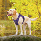 rabbitgoo Dog Harness Medium Sized No Pull, Tactical Service Pet Vest with Molle and Control Handle, Adjustable and Reflective Military Harness for Easy Walking and Training, Purple, M