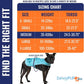 Dog Reflective Vest – Hi-Vis Fluorescent Visibility That Helps to Safeguard Your Pet On/Off Leash in Urban & Rural Areas (Teal, Medium)