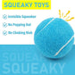 Prime Pets Squeaky Balls for Dogs, 2.5 Inch Dog Squeaky Toys, Interactive Dog Toy Tennis Balls for Indoor Outdoor, Squeak Toys for Medium, Large Dogs