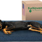 Furhaven Cooling Gel Dog Bed for Large Dogs w/ Removable Bolsters & Washable Cover, For Dogs Up to 95 lbs - Plush & Almond Print L Shaped Chaise - Blue Almonds, Jumbo/XL