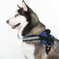 Dogline Dog Harness, Reflective No-Pull Adjustable Vest with Handle for Walking, Training, Breathable, No - Choke Harness for Small, Medium or Large Dogs Room for Patches Girth 15 to 18 in Cyan Blue