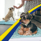 Muddy Mat® Original Dog Door Mat for Muddy Paws, Super Absorbent Microfiber, Non-Slip Washable Pet Rug, Quick Dry Chenille Entryway Carpet, Machine Washable Indoor Outdoor mat, Seafoam Green 48"x60"