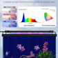 Pawfly 6 W Extendable Aquarium LED Light for 6 to10 Inch Fish Tank with Full Spectrum Brilliant White Blue Red Lights with Daytime & Night Modes and Adjustable Brightness