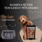 Georgia Peach Carpet Freshener Powder: Powerful Odor Eliminator for Home, Upholstery Deodorizer, Carpet Deodorizer, Pet Urine, Cat Litter Box - Georgia Peach Fragrance