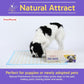 PETSWORLD Giant Dog Potty Pads, Odor-Eliminating, 36" x 36", Ultra Absorbent 5-Layer Leak-Proof Training Pads for Dogs & Cats (36x36 Health Indicating, 50 Count)
