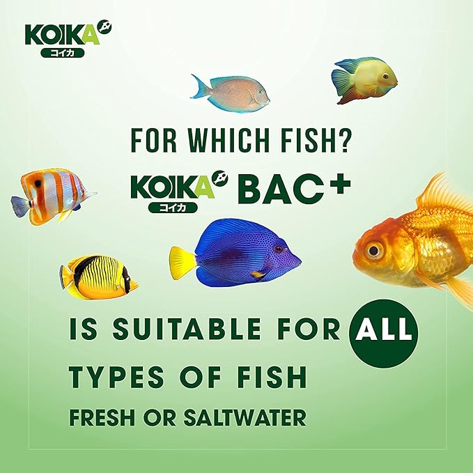 KOIKA BAC+ Aquarium Probiotics, Pleasant Smell, Disease Resistance, Immunity Boosting (BAC+ (New Formula), 105ml)