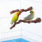 2 pcs 9.8 inch Bird Perches Stand Natural Wood Bird Perches, Birdcage Wood Stand Tree Perches for Birds Cockatiels Parrots Conures Macaws Finches(2PCS 9.8" Length)