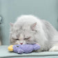 Interactive Catnip Cat Plush Toy, Ocean Theme, 5'', for All Breed Size Cats (Seahorse)