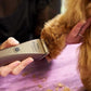 WAHL Professional Animal Bravura Lithium Ion Clipper - Pet, Dog, Cat, and Horse Corded/Cordless Clipper Kit, Gunmetal (41870-0425)