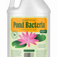 Pond Water Treatment Liquid - 2X Strength Probiotic Blend for Reducing Muck and Odors in Koi Ponds and Natural Ponds - Safe for Fish, Pets, & Swimming - 1 gal.