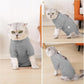 Dotoner Cat Surgery Recovery Suit for Female Male Anti-Licking Pet Surgical Pajamas Long Sleeve Prevent Shedding Cat Spay Recovery Suit&E Collar Alternative Bodysuit for Cats