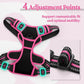 rabbitgoo Dog Harness No Pull with 2 Leash Clips, Adjustable Soft Padded, Reflective Oxford No Choke Pet Vest with Easy Control Handle for Large Dogs, Black & Hot Pink, M