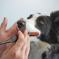 Pet Toothbrushing Assistant for Puppies' Dogs and Cats Allows You to Brush Your pet’s Teeth Without Constantly Worrying About Getting Bitten. (Blue, Small)