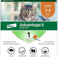 Advantage II Small Cat Vet-Recommended Flea Treatment & Prevention | Cats 5-9 lbs. | 1-Month Supply