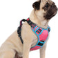 rabbitgoo Dog Harness Small Sized, No Pull Dog Vest with 3 Buckles, Adjustable Soft Padded Pet Harness with Easy Control Handle and Reflective Strips, Rose Pink & Blue, S