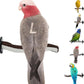 Superoost Manzanita Pumice Pedicure Perch- Easy to Install Bird Cage Accessories for Healthy Feet, Nails and Beak - Natural Bird Perches Imitates Birds' Life in The Wild - L 12"