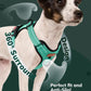 MIDOG No-Pull Dog Harness | Adjustable & Reflective Pet Harness Leash Set for Small Medium Large Dogs Walking, Training| No Choke, Front Clip, Soft Padded Vest with Easy Control Handle - Green, S