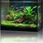 2.6 Gallon Glass Fish Tank Cube, Small Aquarium Fish Bowl for Betta Goldfish Snails Shrimp Aquatic Planting, Easy to Maintain Ultra Clear Rimless Design for Desktop Small Spaces