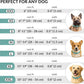 CollarDirect Rolled Leather Dog Collar, Soft Padded Round Puppy Collar, Handmade Genuine Leather Collar Dog Small Large Cat Collars 13 Colors (13-16 Inch, Mint Green Smooth)