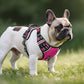 Timos No Pull Dog Harness, No Choke Front Lead Dog Reflective Harness, Adjustable Soft Padded Pet Vest with Easy Control Handle for Small Medium Large Dogs, S