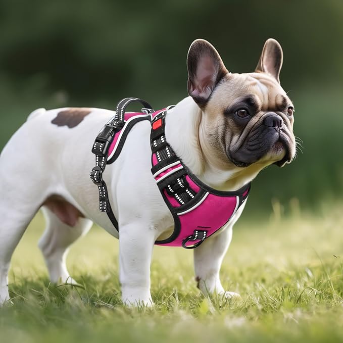 Timos No Pull Dog Harness, No Choke Front Lead Dog Reflective Harness, Adjustable Soft Padded Pet Vest with Easy Control Handle for Small Medium Large Dogs, S