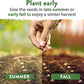 HOME GROWN 12 Winter Vegetable Seeds 𝗡𝗢𝗡-𝗚𝗠𝗢 Heirloom,Fall & Winter Vegetable Seeds for Planting Home Garden: Bean, Beet, Broccoli, Cabbage, Carrot, Cauliflower, Kale,Parsnip,Squash,Chard & More