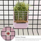 Litewoo Rabbit Hay Feeder Food Bowl Feeding Rack for Small Animal Guinea Pig Chinchilla Bunny Cage Accessories
