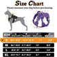 rabbitgoo Dog Harness Small Sized No Pull, Tactical Service Pet Vest with Molle and Control Handle, Adjustable and Reflective Military Harness for Easy Walking and Training, Purple, S
