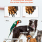 Super Powerful Dog Nail Trimmers and Dog Nail Clippers Combo, Ultra Quiet, 3 Speeds, 4 Bright Lights, with Travel Lock, for Small, Meddium and Large Dogs, Cats and Small Animals