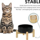 Ceramic Raised Dog and Cat Bowl Set, 2 Heights Elevated Stand, Food and Water Bowl for Small Breed Dogs, Cats, Kitty, Weighted Dog Dishes, Pet Bowls(5.1'',13.5oz, Black)