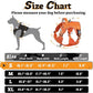 rabbitgoo Dog Harness Small Sized No Pull, Tactical Service Pet Vest with Molle and Control Handle, Adjustable and Reflective Military Harness for Easy Walking and Training, Orange, S