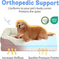 Orthopedic Washable Large Dog Bed - Removable Orthopedic Dog Bed XL with Bolster Extra Large Dogs Beds with Washable Cover for Large Size Pet Non-Slip Bottom