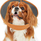Inspack Soft Dog Cone Collar Alternative, E Cones for Small Dogs/Cat/Puppy to Stop Licking after Surgery, Comfortable All Paws Comfy Elizabethan Collars, Neuter Recovery Ecollars of Shame Alternatives