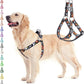 PUPTECK No Pull Dog Harness Soft Adjustable Basic Nylon Step in Puppy Vest Outdoor Walking with ID Tag, Halloween, M