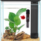 Glass Betta Aquarium Starter Kits, 2 Gallon Fish Tank with Heater Filter and Light.